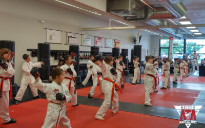 Featured Image for Empower ATA Martial Arts opens opportunities on Lancaster